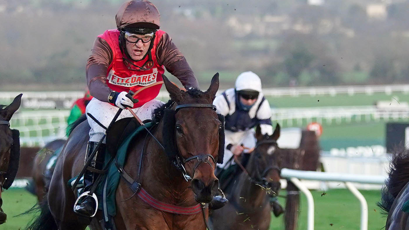 Dolphin Square ridden by David Maxwell on the way to winning the Paddy Power Handicap Hurdle at Cheltenham Racecourse on New Year&amp;rsquo;s Day.