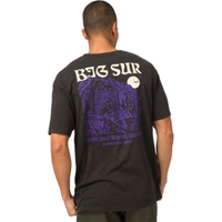 Big Sur Bridges Puff Print Pocket (Mens): was $40 now $20 @ Backcountry