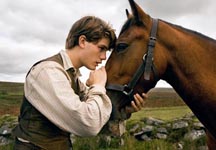 war-horse1.jpg