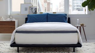 The WinkBed Luxury Firm Hybrid Mattress review