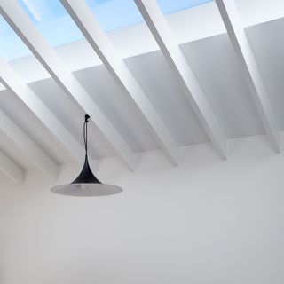 roof light and slatted ceiling with a black pendant light