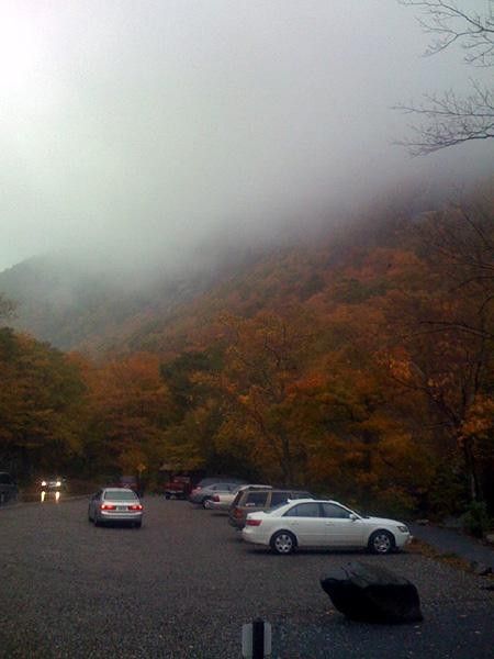 When the fog lifts the beautiful fall colours are fully visible
