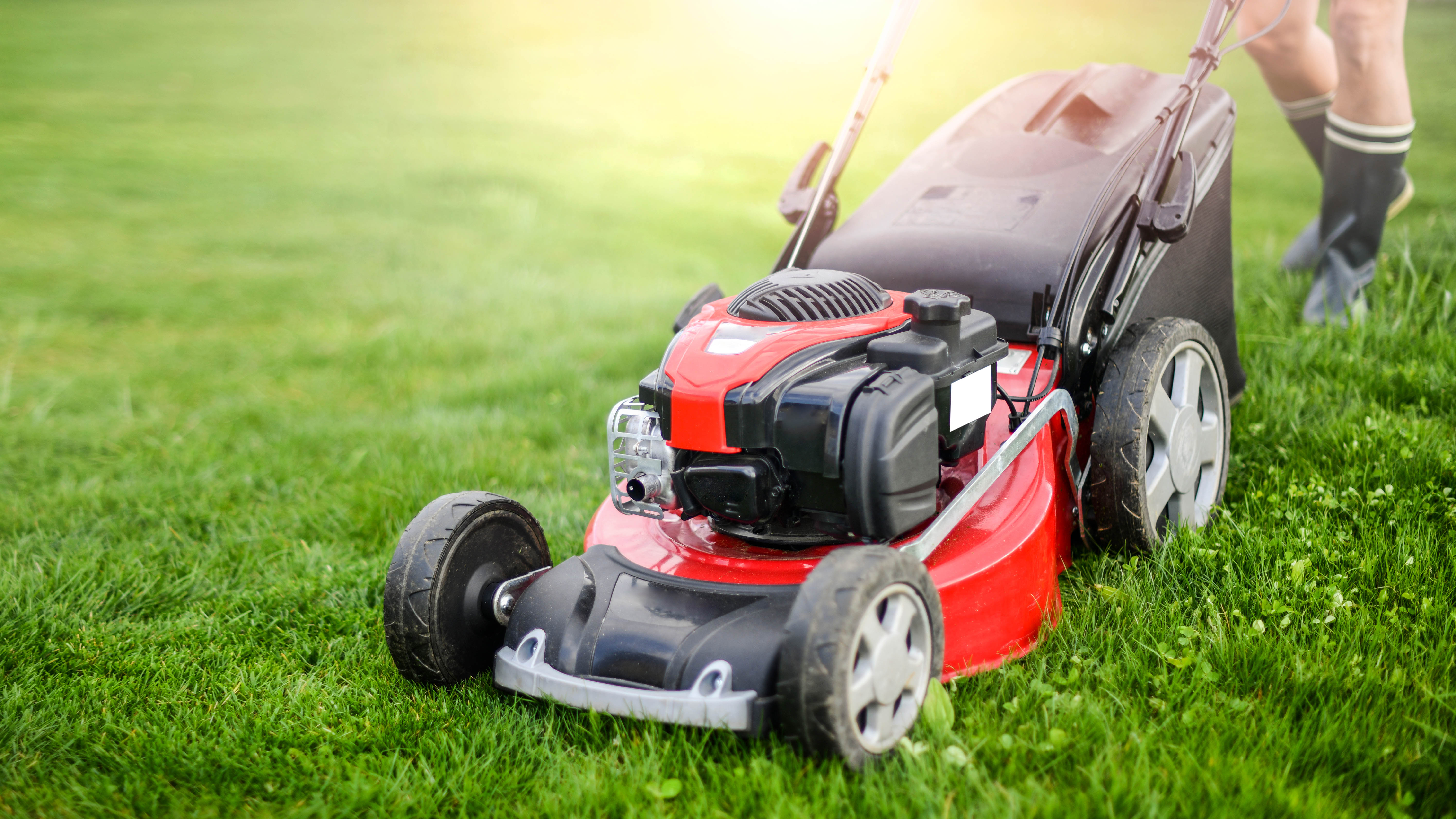 Green stripe lawn discount mowers