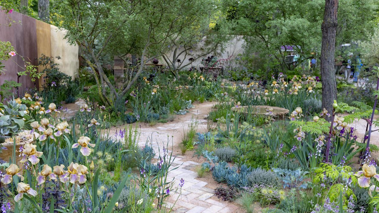 Savills Garden RHS Chelsea 2023