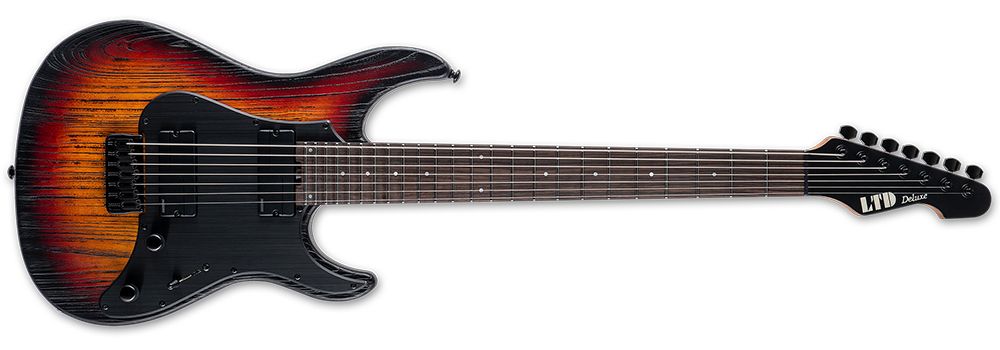 ESP Fishman electric guitars
