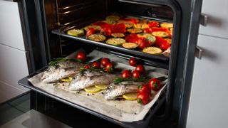 An oven filled with fish and vegetables