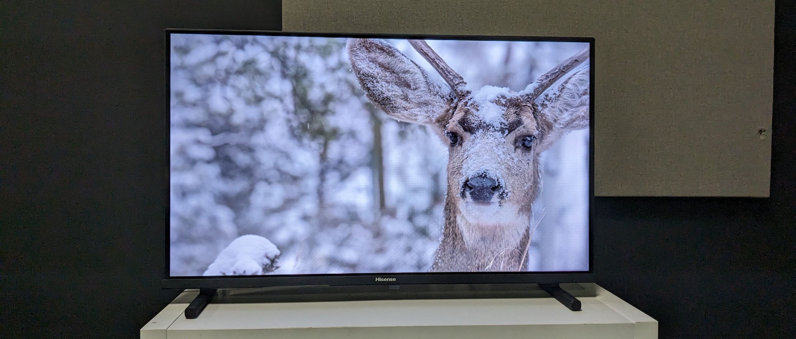 Hisense 32A5K review: vibrant QLED pictures, but dull sound