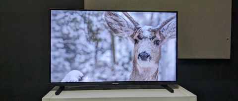 Hisense 32A5K Hero image with deer in snow on screen 
