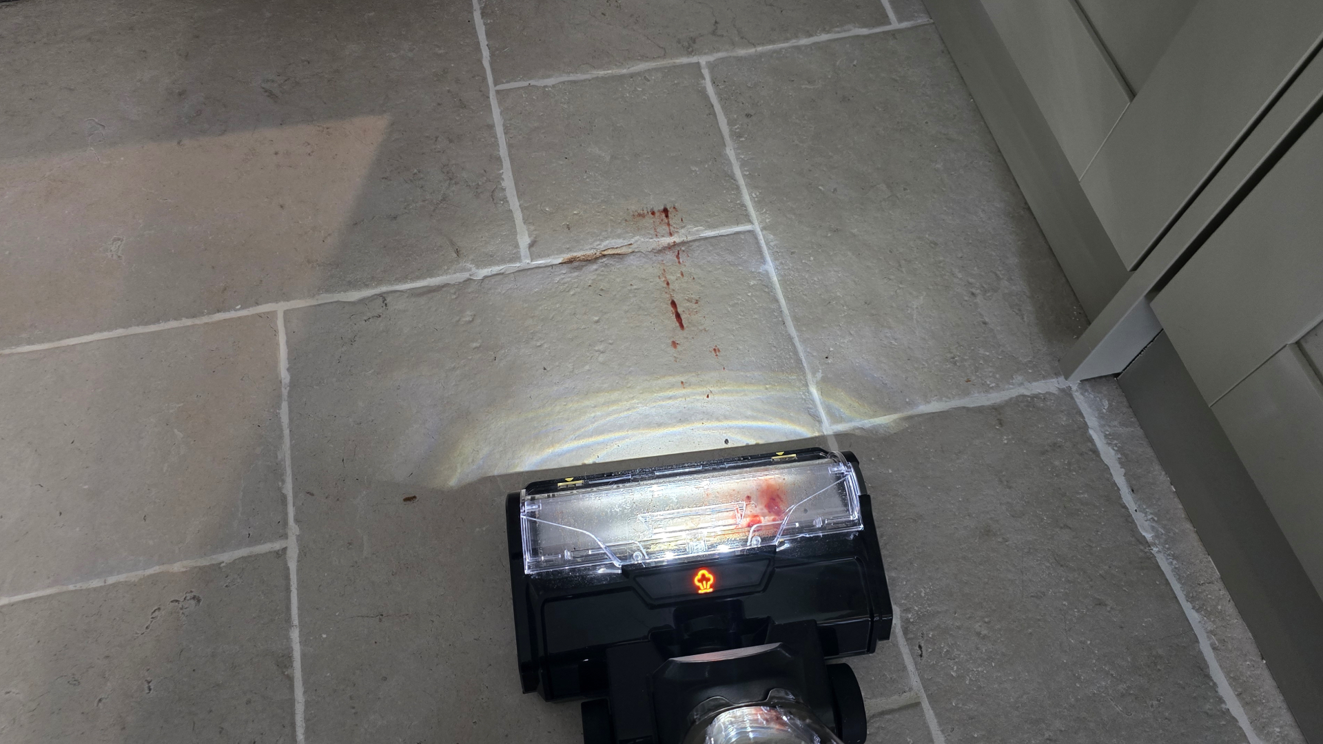 Bissell CrossWave HydroSteam Pet cleaning cranberry sauce and coffee stain