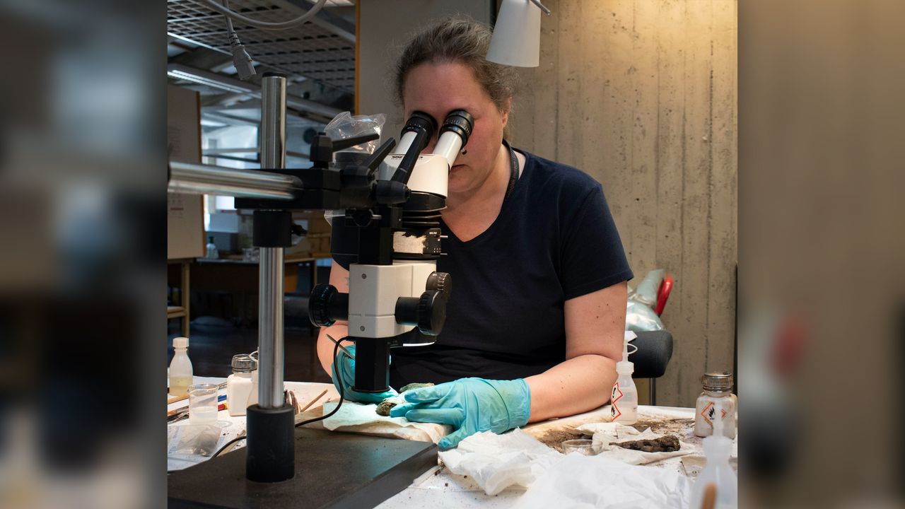 A conservator examines the sword with a microscope.