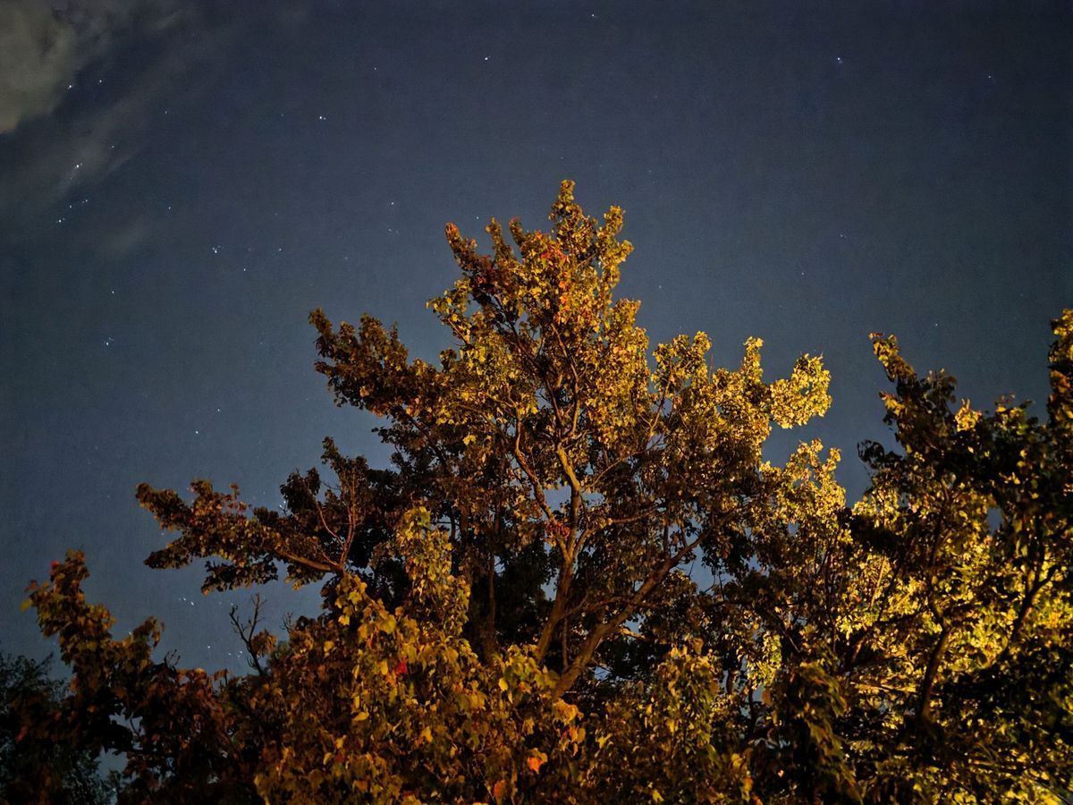 Samsung Galaxy S25 Ultra low light sample.