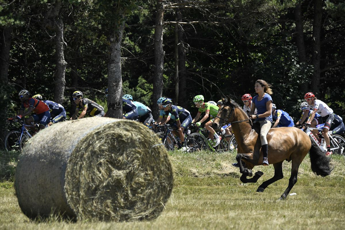 A horse and rider race the peloton curing stage 16 at the Tour de France