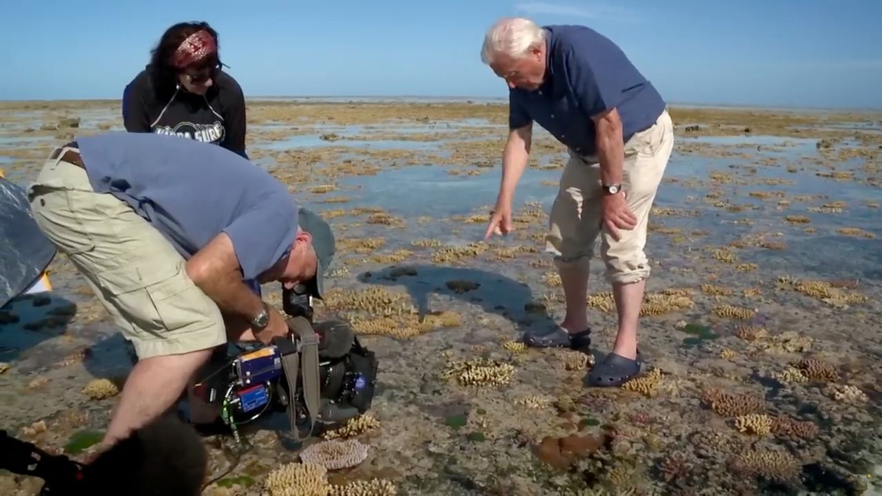 David Attenborough standing on a reef with a camera crew