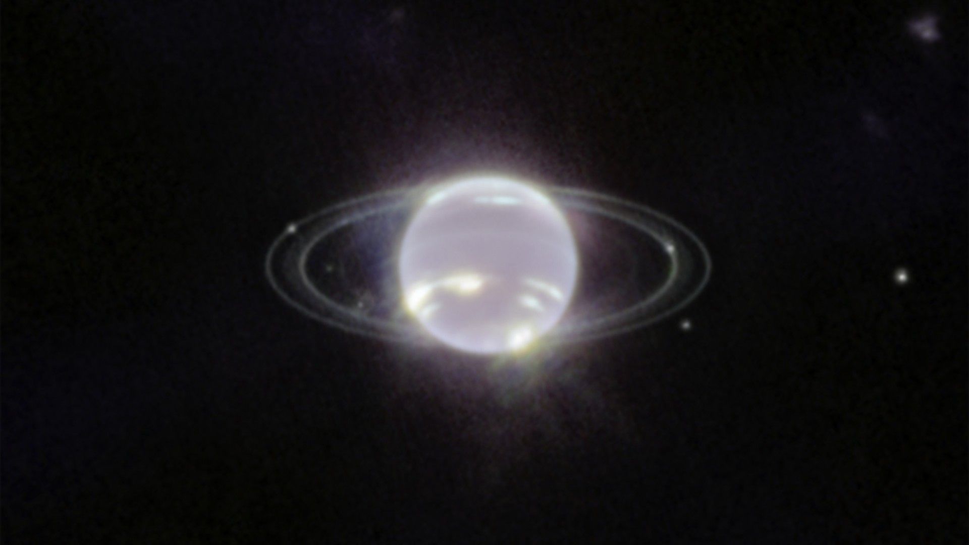 The Lone Survivor: How Neptune's Moon Nereid Outlasted a Cataclysmic Past