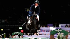 Ben-MAHER_GINGER-BLUE_HOYS_PN24_172780.jpg