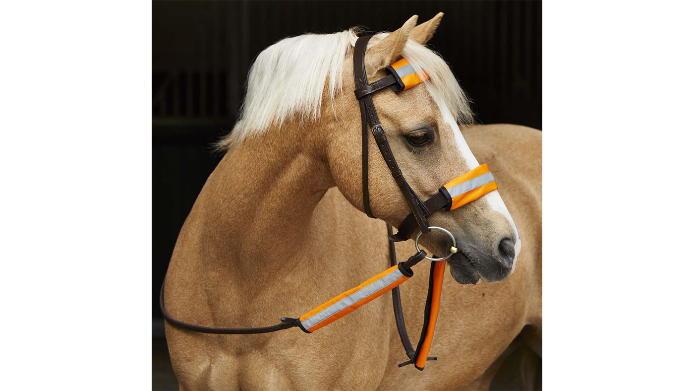 Masta hi viz bridle covers hi viz for horses