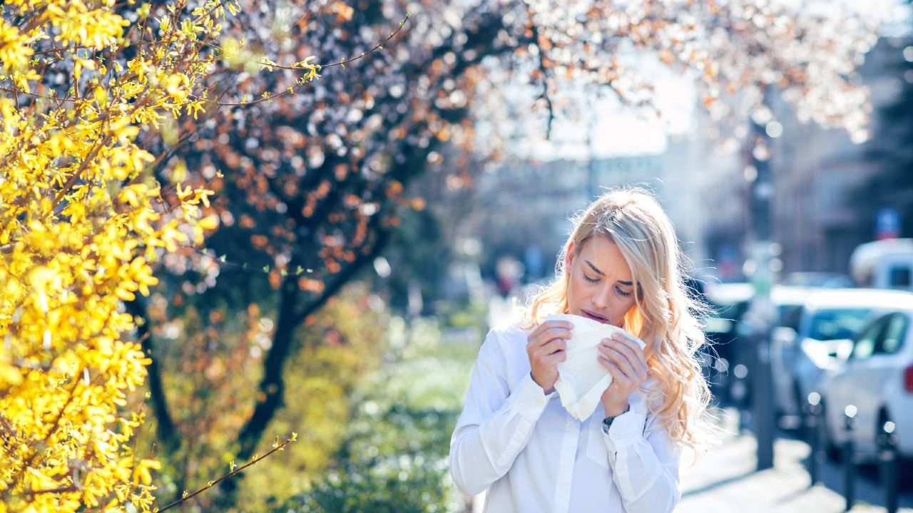 hayfever may be worse in cities