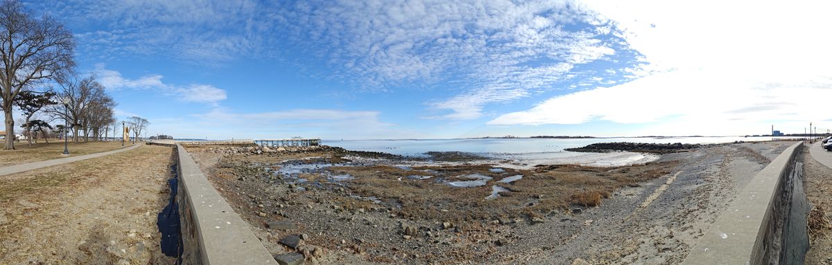 Sample photos taken with OnePlus 11