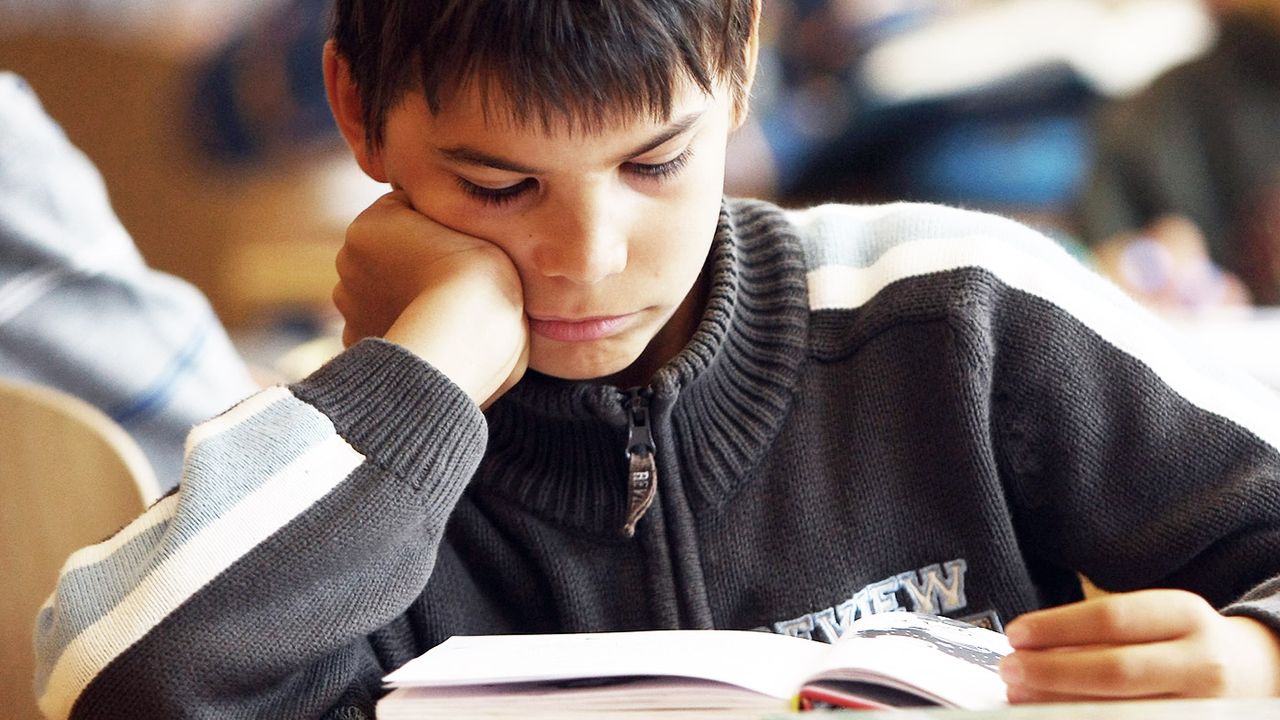 A schoolchild reading a book