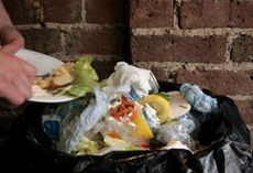 Food waste - Health News - Marie Claire