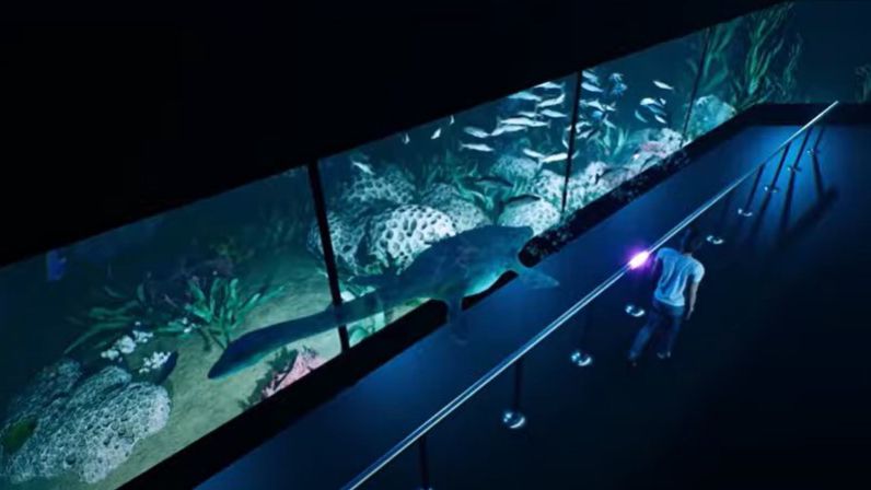 Inside the Hologram Zoo in Australia.