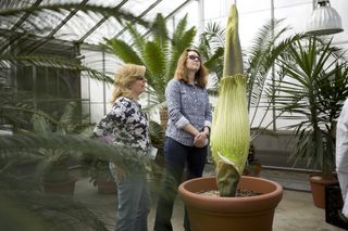 Visitors check out the Titan Arum, or
