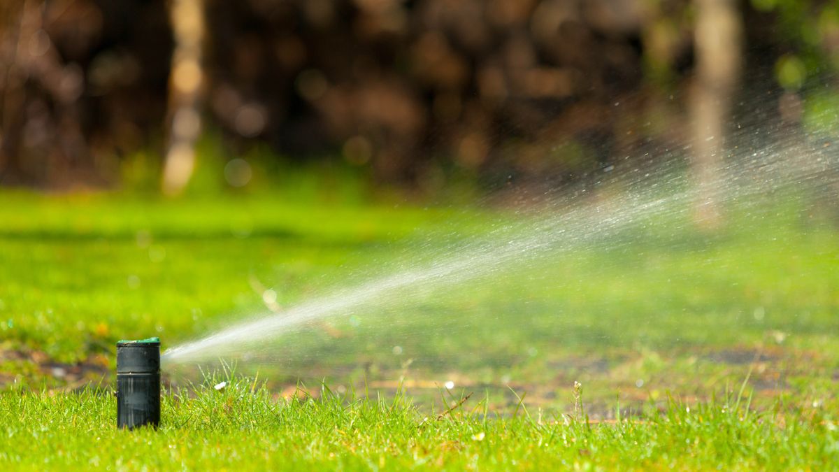 Sprinkler watering lawn