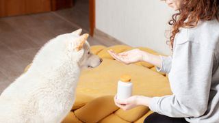 lady giving dog a pill
