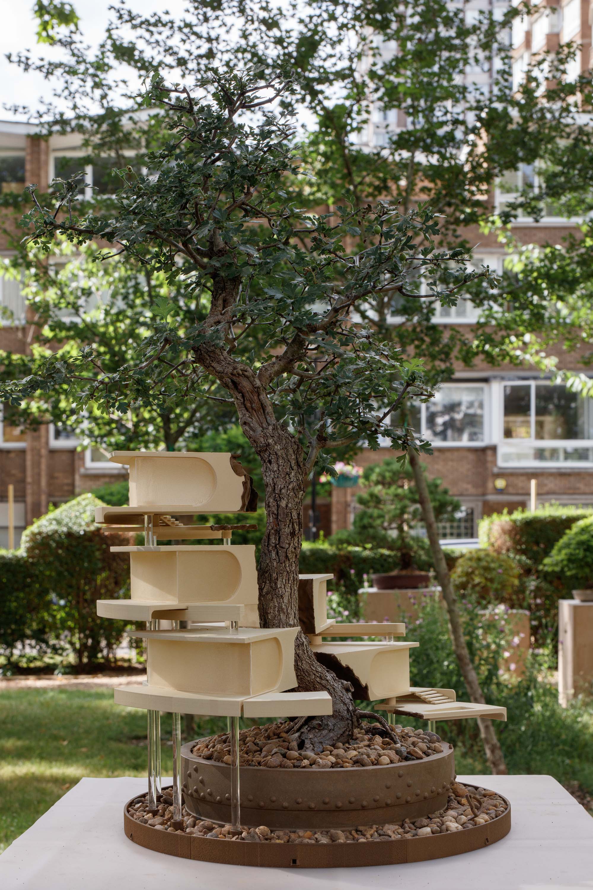 view of miniature houses in a park as part of an open air Bonsai treehouse exhibition in London