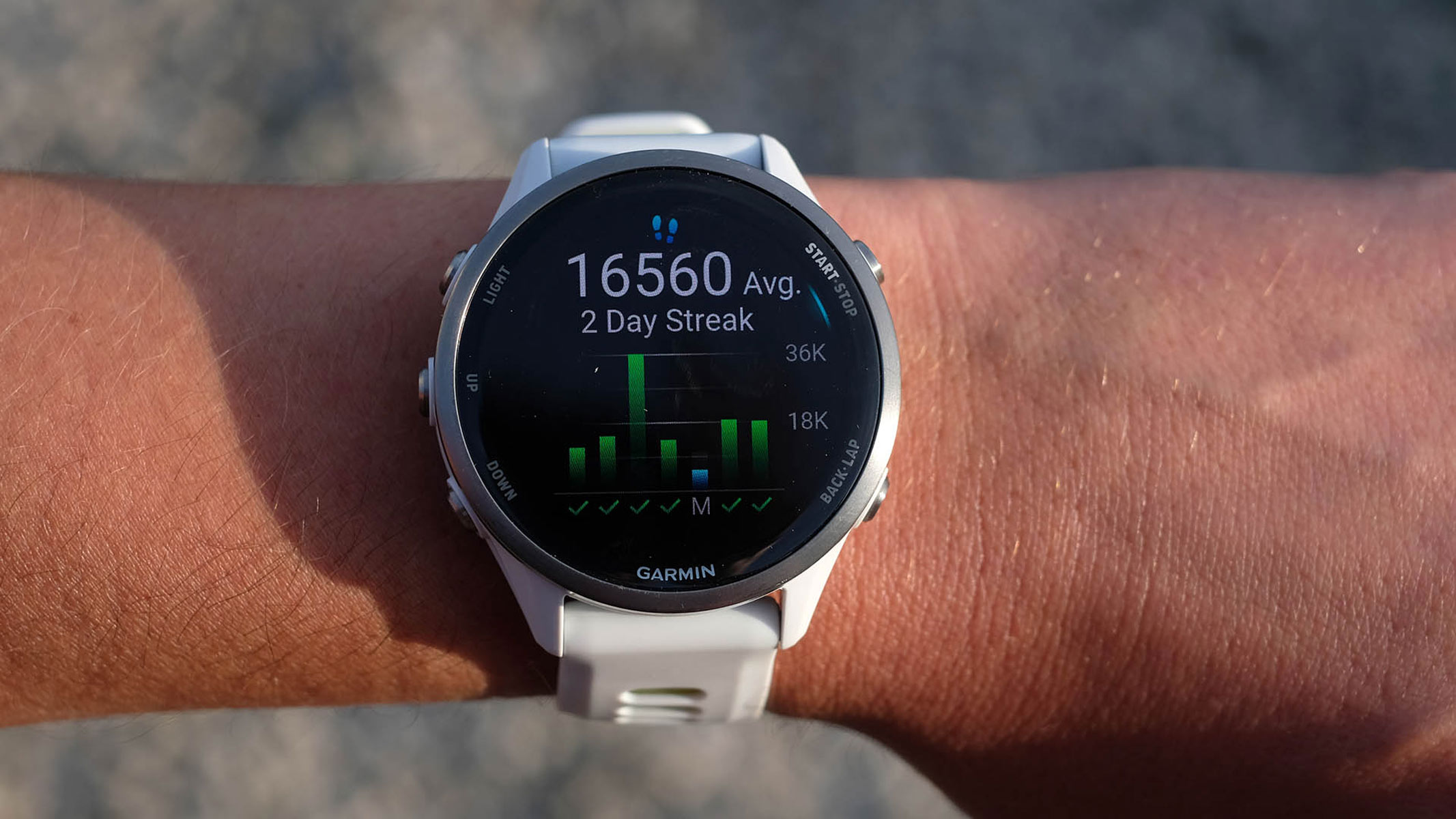 A close-up picture of the daily step count graph in the Garmin Forerunner 970
