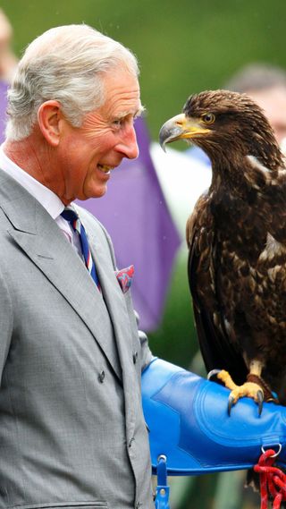 King Charles with an eagle.