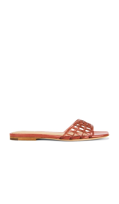Maris Jelly Sandal
