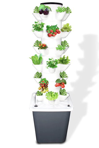 vertical garden hydroponic kit
