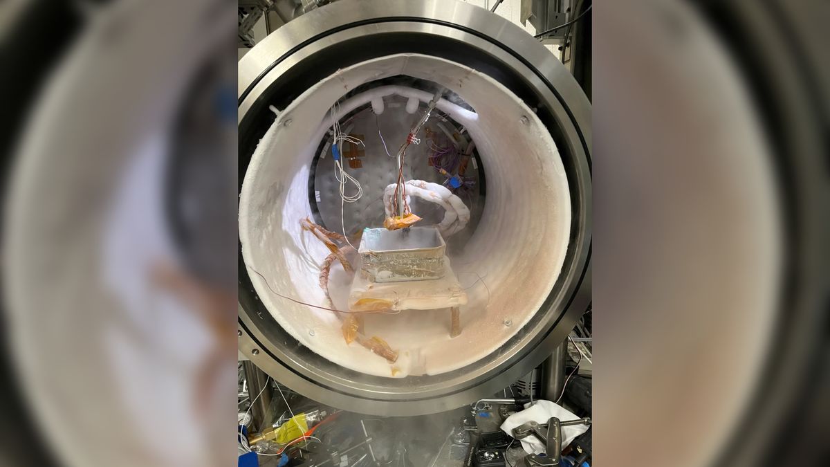 'Spiders on Mars' fully awakened on Earth for 1st time — and scientists