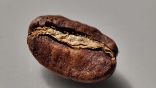 Xiaomi Mi 11 macro: coffee bean