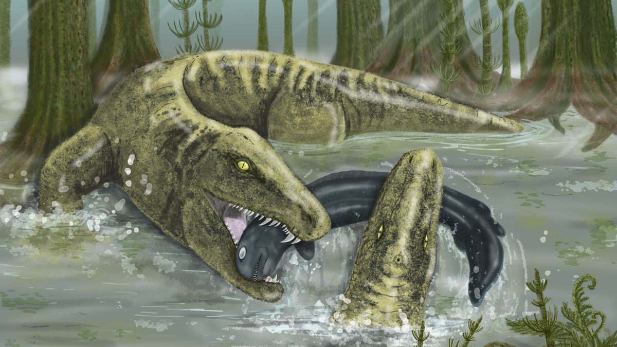 Ancient superpredator that lived 328 million years ago was 'the T. rex of its time' - Livescience.com