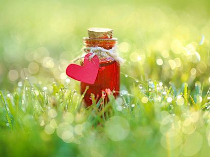 A small corked bottle of red liquid with a paper heart tied to its neck sits in a lawn of wet grass