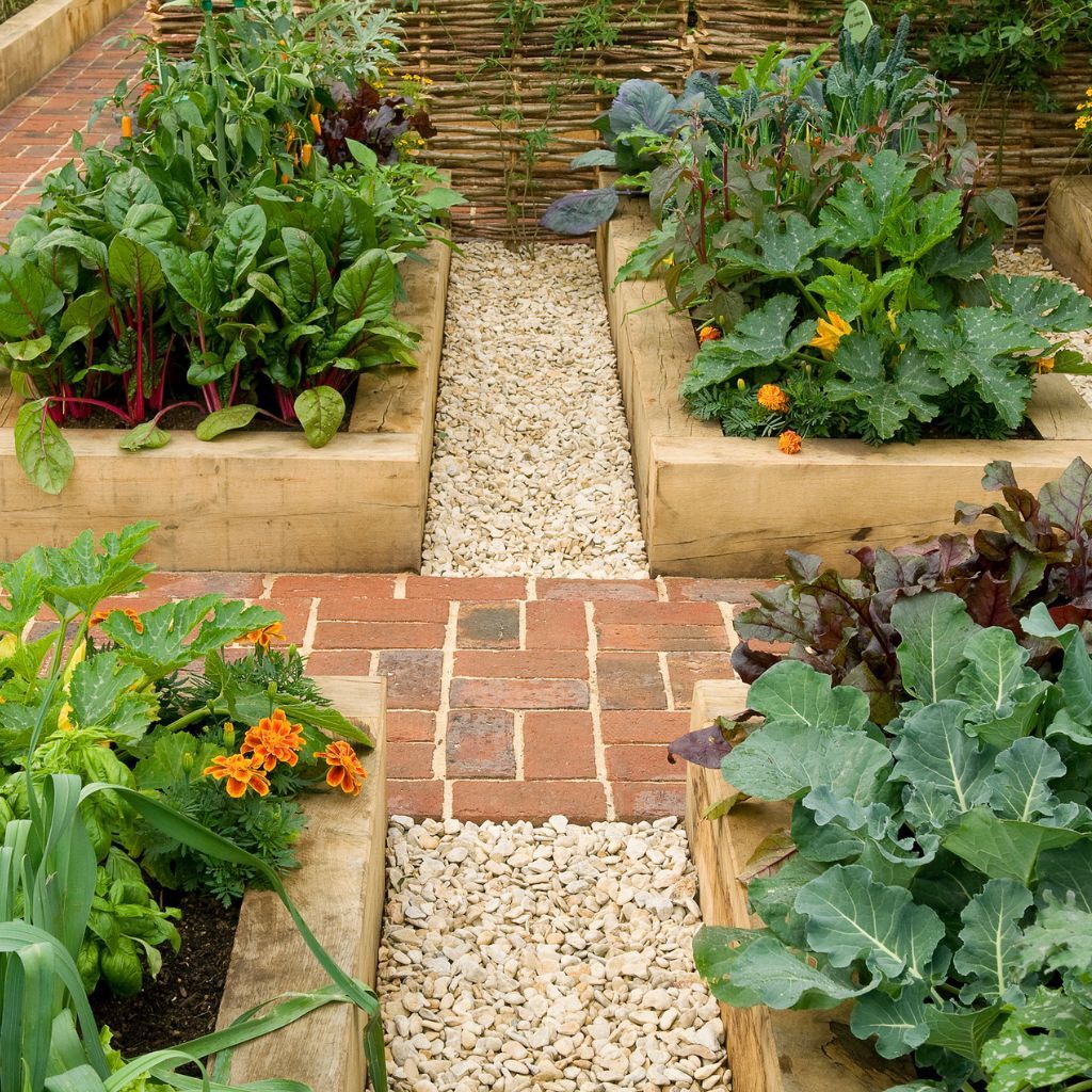 Pros and Cons of Raised Bed Gardening | Gardening Know How