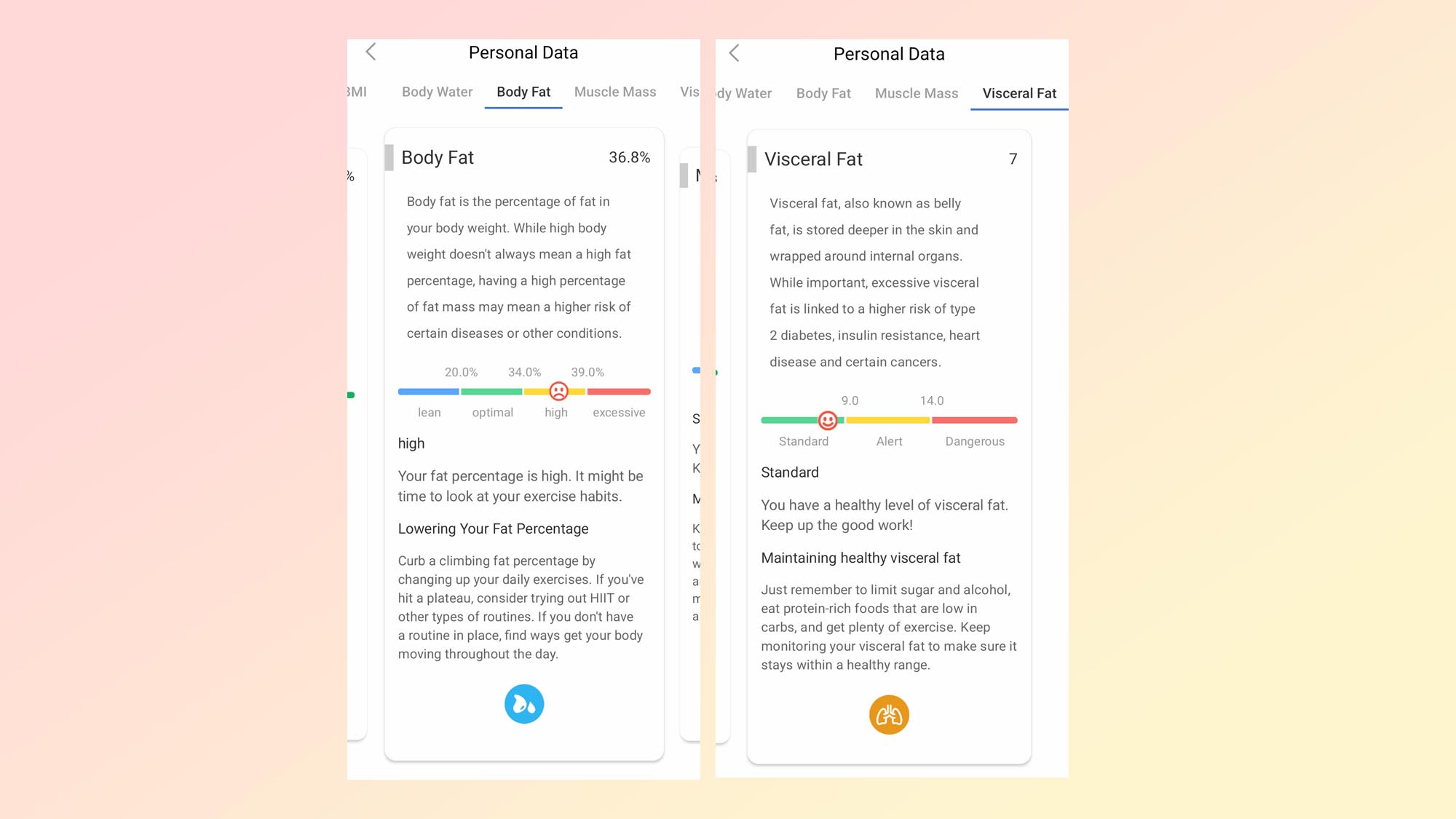 A screenshot from the Rollibot smart scale app