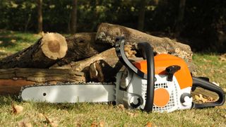 Chainsaw on grass in front of a pile of logs