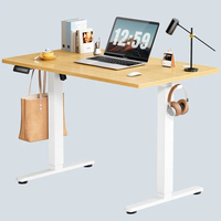 Inbox Zero Koree Standing Desk: was $179 now $119 @ Wayfair