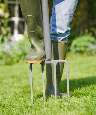 aerating a lawn