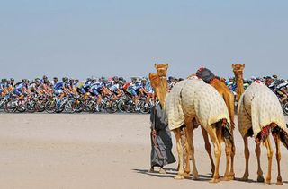 Curious onlookers watch the Tour of Qatar peloton roll by.