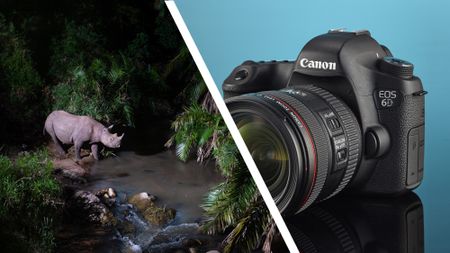 A rhino entering a brook surrounded by lush vegetation at night, alongside a Canon EOS 6D DSLR camera on a blue studio backdrop