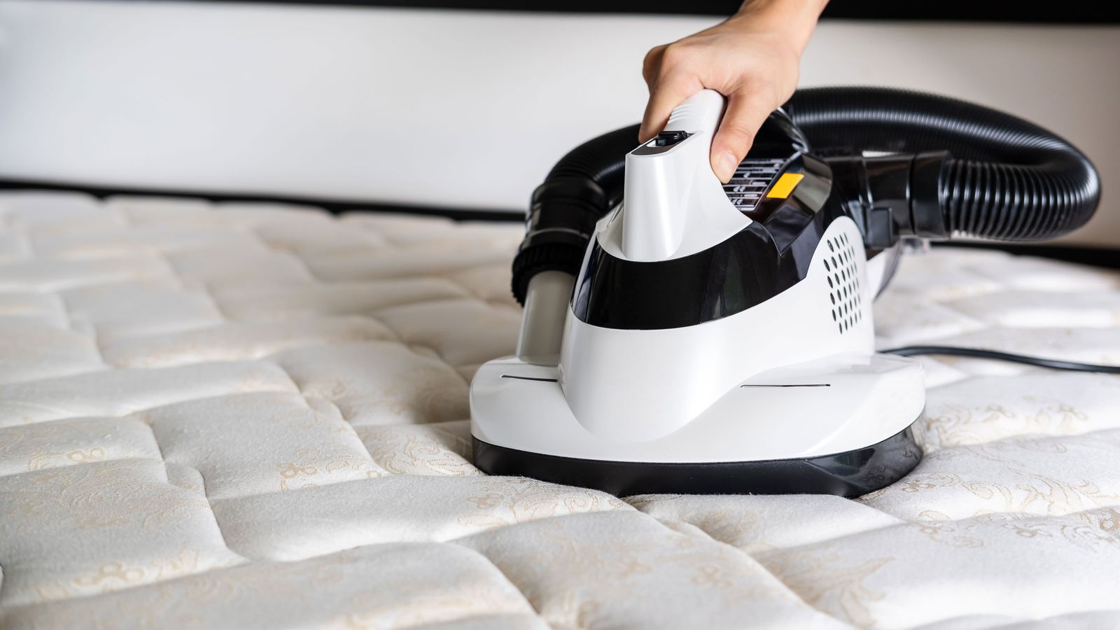 Can you clean a mattress with a carpet cleaner?