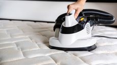 carpet cleaner on mattress