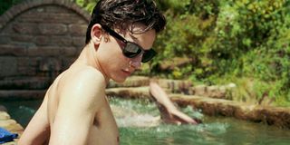 Timothee Chalamet - Call Me By Your Name