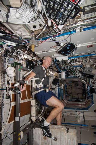 Expedition 39 Flight Engineer Steve Swanson of NASA works out on the Cycle Engometer with Vibration Isolation System (CEVIS) in the U.S. lab Destiny of the International Space Station.