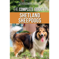 The Complete Guide To Shetland Sheepdogs | Amazon