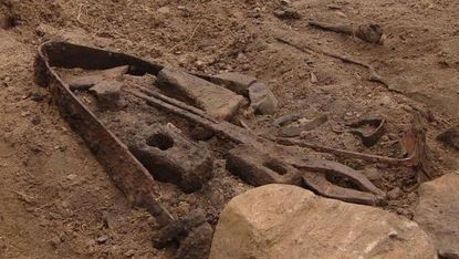 Man discovers 'spectacular' Viking grave in backyard
